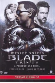 Blade: Trinity