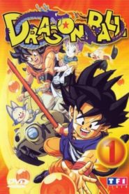 Dragon Ball: Temporadas 1