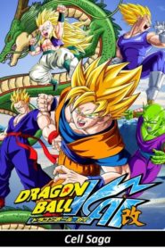 Dragon Ball Kai: Temporadas 4
