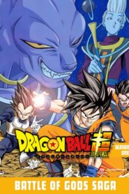 Dragon Ball Super: Temporadas 1