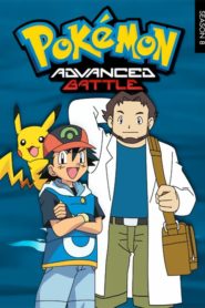 Pokémon: Temporadas 8