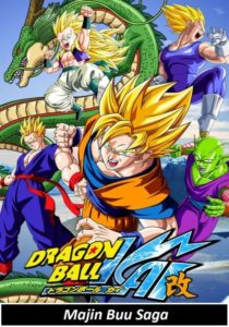 Dragon Ball Kai: Temporadas 6