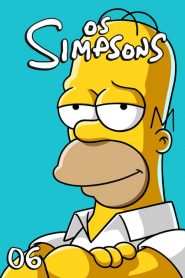 Os Simpsons: Temporadas 6