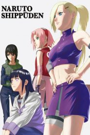 Naruto Shippuden: Temporadas 3