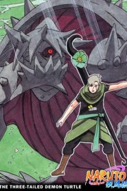 Naruto Shippuden: Temporadas 5