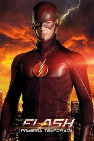 Flash: Temporadas 1