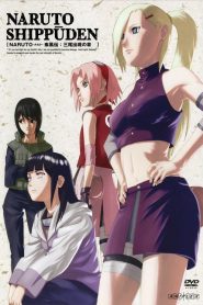 Naruto Shippuden: Temporadas 15