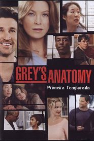 Grey’s Anatomy: Temporadas 1
