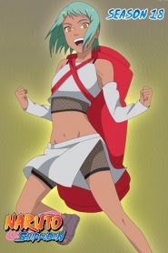 Naruto Shippuden: Temporadas 18