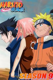 Naruto Shippuden: Temporadas 9