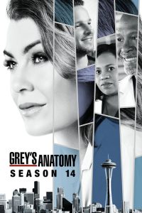 Grey’s Anatomy: Temporadas 14