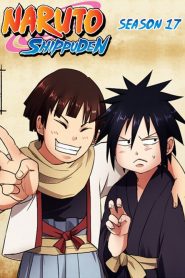 Naruto Shippuden: Temporadas 17