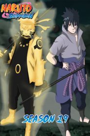 Naruto Shippuden: Temporadas 19