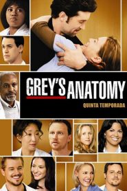 Grey’s Anatomy: Temporadas 5