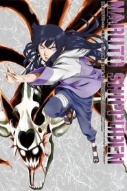 Naruto Shippuden: Temporadas 8