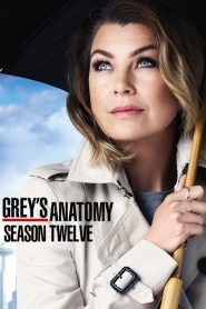 Grey’s Anatomy: Temporadas 12
