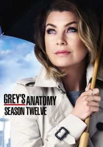 Grey’s Anatomy: Temporadas 12