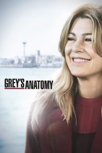 Grey’s Anatomy: Temporadas 15