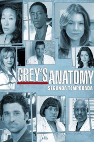 Grey’s Anatomy: Temporadas 2