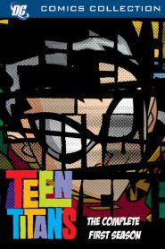 Os Jovens Titãs: Temporadas 1