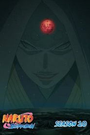 Naruto Shippuden: Temporadas 20