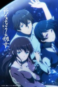 Domestic na Kanojo: Temporadas 1