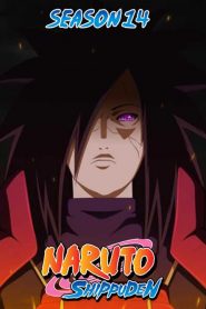 Naruto Shippuden: Temporadas 14