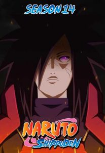 Naruto Shippuden: Temporadas 14