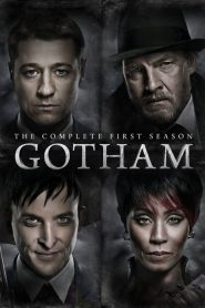 Gotham: Temporadas 1