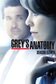 Grey’s Anatomy: Temporadas 11