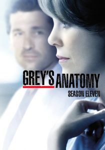 Grey’s Anatomy: Temporadas 11