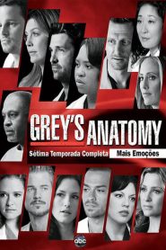 Grey’s Anatomy: Temporadas 7