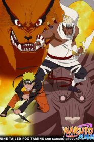 Naruto Shippuden: Temporadas 12