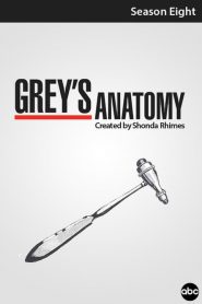 Grey’s Anatomy: Temporadas 8