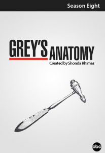 Grey’s Anatomy: Temporadas 8