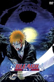 Bleach: OVA 1 – Memórias na Chuva