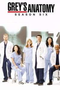 Grey’s Anatomy: Temporadas 6