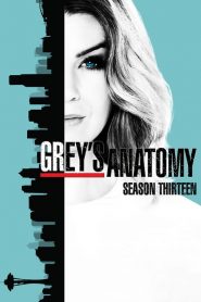 Grey’s Anatomy: Temporadas 13