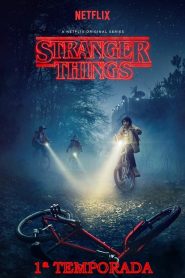 Stranger Things: Temporadas 1