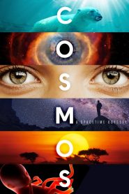 Cosmos: Uma Odisséia do Espaço-Tempo: Temporadas 1