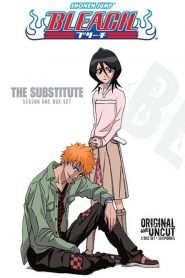 Bleach: Season 1