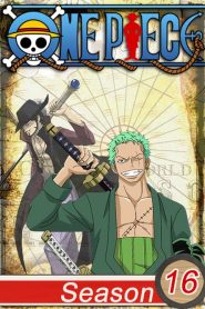 One Piece: Season 16