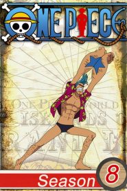 One Piece: Season 8