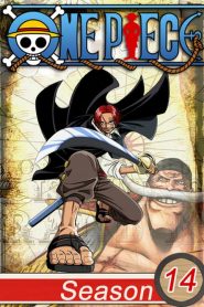 One Piece: Season 14