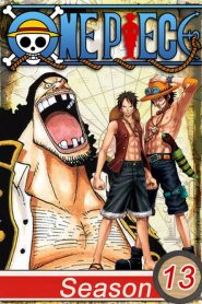 One Piece: Season 13