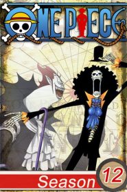 One Piece: Season 12