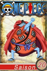 One Piece: Season 20