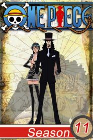One Piece: Season 11