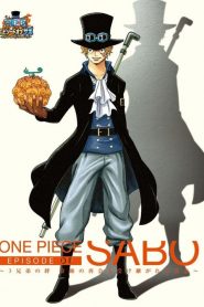 One Piece – Especial: Superando a Morte de Ace
