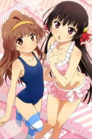 Onii-chan Dakedo Ai sae Areba Kankei nai yo ne: Season 1